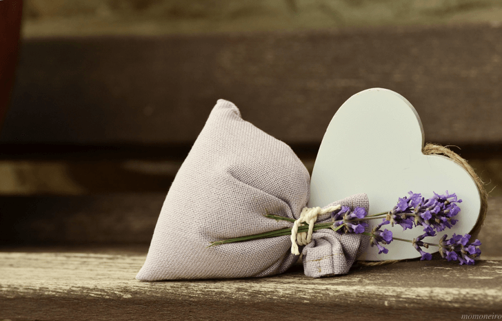 momone_lavender-823600_1920