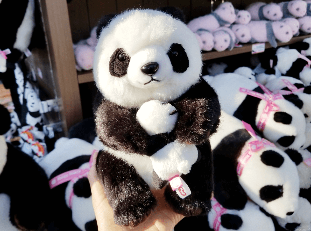 上野動物園のパンダ シャンシャン 公開抽選に当たらなくても楽しめる 自分が抽選に外れても諦めないで 暮らしラク
